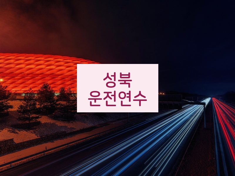 성북운전연수 후기