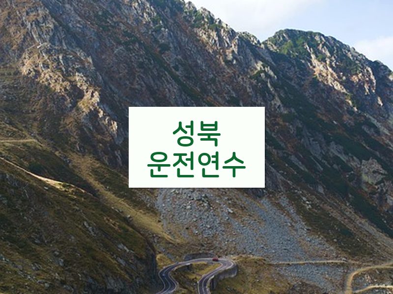 성북운전연수 후기