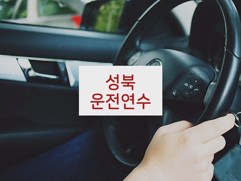 성북운전연수 후기
