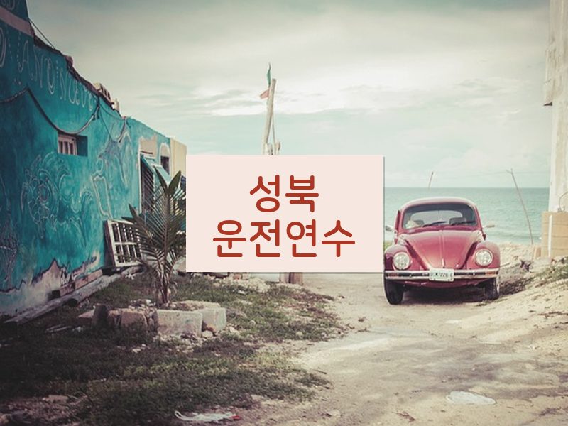 성북운전연수 후기
